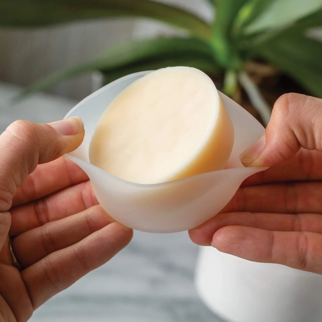 Silicone Flip Dish